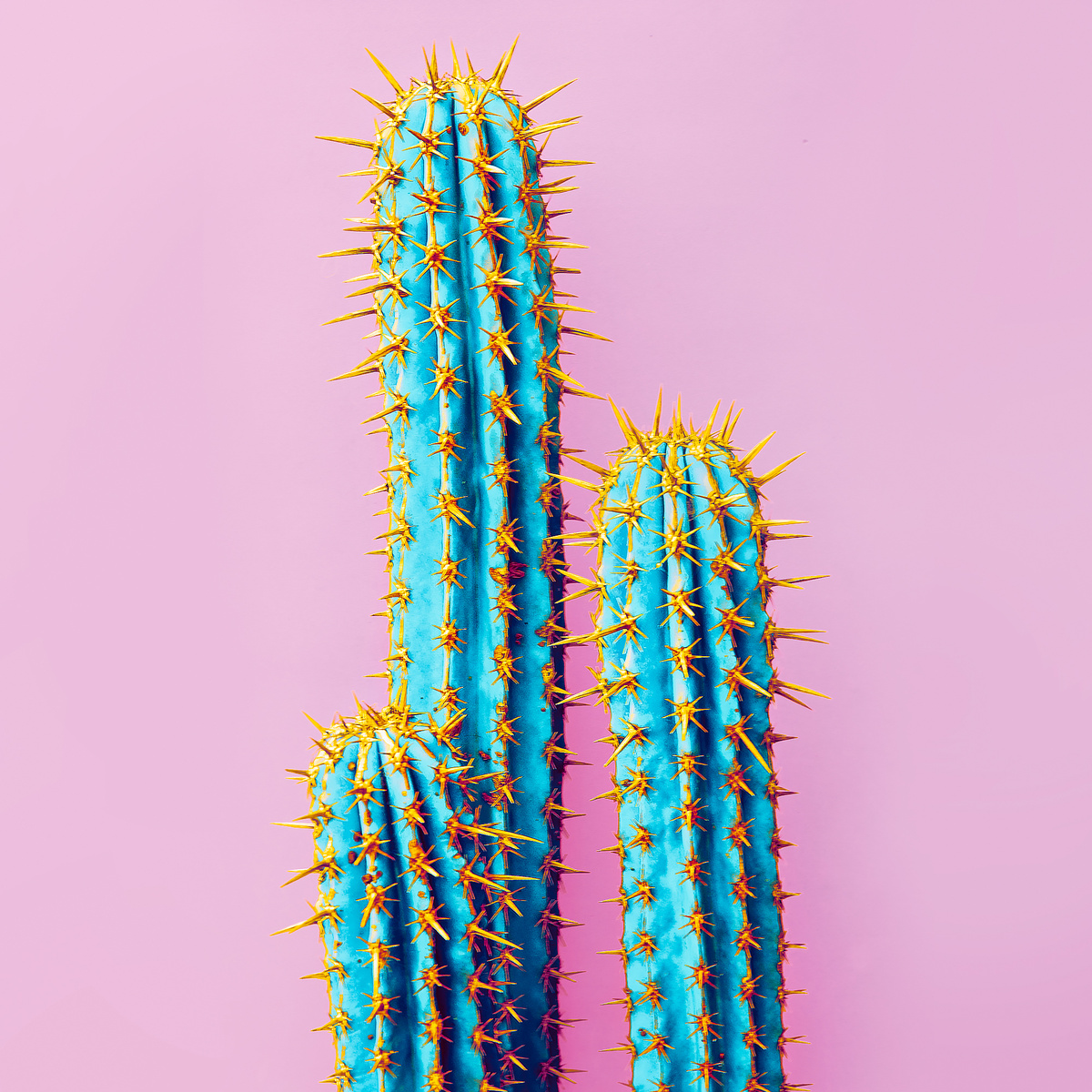 Set Neon Cactus